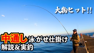 【中通し泳がせ釣り】爆釣泳がせ仕掛けを徹底解説。爆風でも一切トラブル無し!【実釣あり】