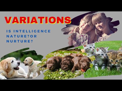 Variation |Is intelligence nature? Or Nurture?