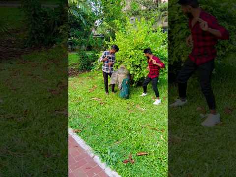 আমাদের কে বোকা বানালো #viralvideo #funny #shorts