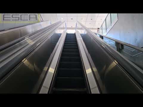 [2 units] Sendai Renbo Station Escalator Up Fujitec Subway Tozai Line T09