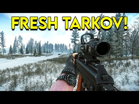 This Tarkov Wipe is Amazing!