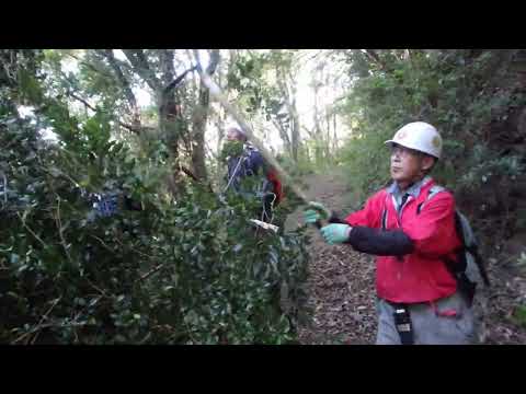 登山道整備2024.9.25山口県周防大島町「源明山」