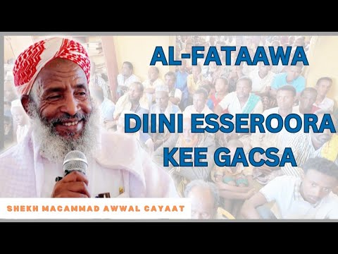 Al-Fatawa Diini Essero kee Gacsa