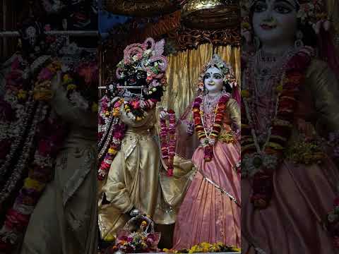 ♥️ Today's darshan of narasimha Deb, Radha Madhav, panchatatwa divine ♥️ 19/12/2024 #mayapuriskcon