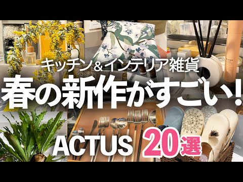 【春のACTUS新作】みんなコレを待っていた！待望のキッチン&インテリア雑貨20選/母の日/観葉植物/アクタス