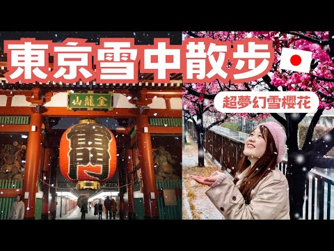 2024東京大雪散步｜雪櫻花太夢幻了🌸 日夜東京車站、雪雷門🏮｜日本有個U1 YuiTube 🇹🇼x🇯🇵