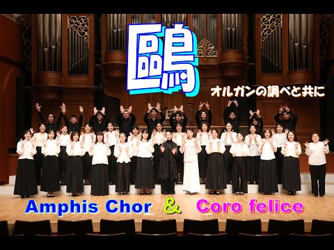 「鷗」　Amphis Chor ＆ Coro felice