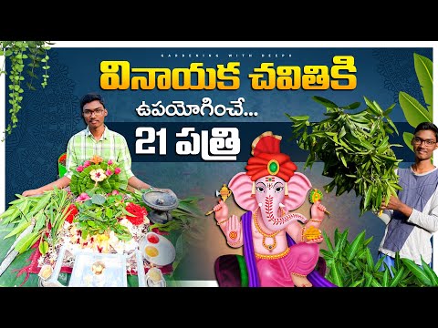 21 types of leaves used for Ganesh Chaturthi Pooja 🙏☘️