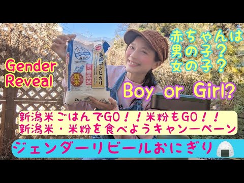 Gender Reveal Onigiri ♪Is my baby a  boy or a girl?