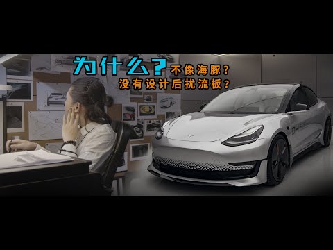 【敢问】Model 3变身机械海豚后的几个为什么