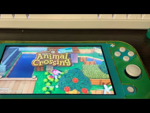 A Year of Animal Crossing in a Month ( Day 1 )