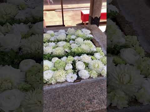 春の金峯神社。桜も満開。