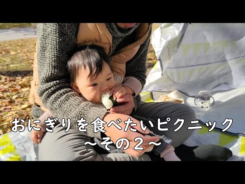 どうしても、おにぎりを食べたい0歳児～その2～　【262Days】