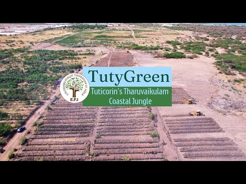 Tuticorin Tharuvaikulam Ecopark - தூத்துக்குடி தருவைகுளம் காடு