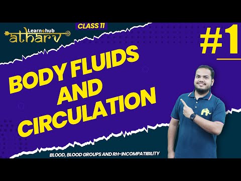 Body Fluids and Circulation Class 11 Biology NCERT Chapter 14 #1 | Blood Groups, Rh | Atharv Batch