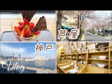 【芦屋•神戸vlog】40代夫婦の休日/芦屋のお店紹介します🎶カフェ☕️にケーキ🍰にパン屋さん🥖