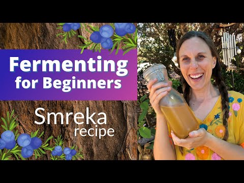 Fermentation for Beginners - Smreka recipe