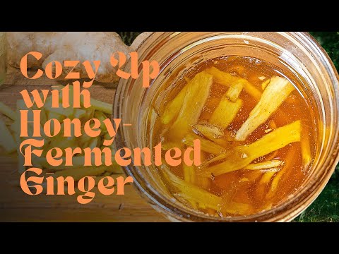 Ginger Fermented Honey