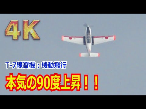 【4K】圧巻の90度上昇！！T-7練習機が本気の機動飛行。でも優雅に飛んでいるようにしか見えない… /「第6回 岐阜基地航空祭2023復習編」【航空自衛隊】