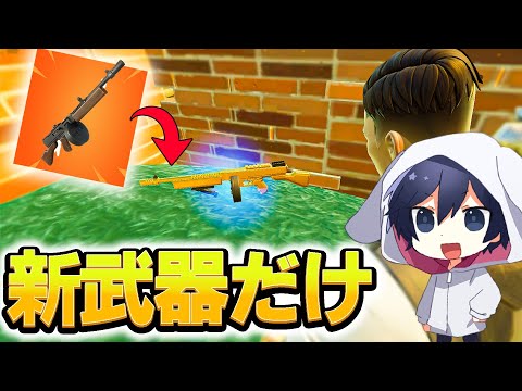 ソロランクに「ドラムガン」だけで勝とうとしたら鬼畜すぎた...【フォートナイト/Fortnite】