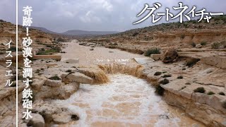 [グレートネイチャー] 奇跡！砂漠を潤す鉄砲水 ～イスラエル～ | NHK