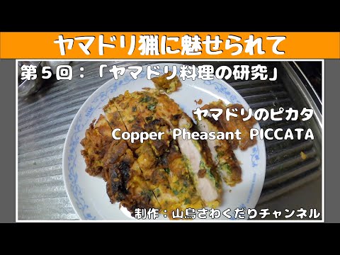 ヤマドリ猟に魅せられて 第5回 ヤマドリ料理の研究　ヤマドリ胸肉のピカタ　Copper Pheasant PICCATA