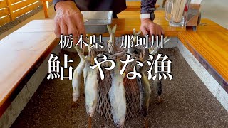 【鮎炉端焼き_栃木県那珂川】今シーズンのやな漁も残り僅か！リフレッシュに最適！景色良し！食べて良し！