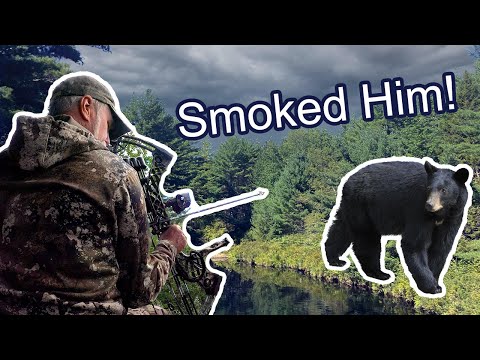 Maine Archery Bear hunt with Perry’s Guide Service - Bear Down!