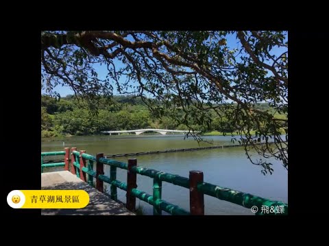 20200421 東門米粉攤丨湖畔料亭丨玻璃工藝博物館丨新竹市立動物園丨榮記客家湯圓丨竹塹林記美食丨茶鵝魯味丨青草湖風景區