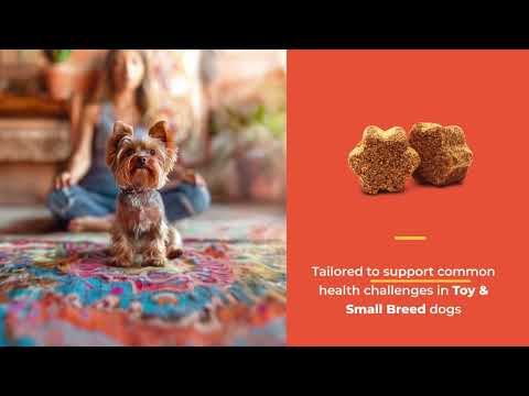 NaturVet Breed Specific Toy & Small Breed Dogs