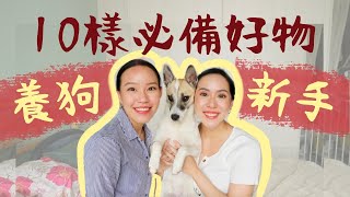 毛小孩認證👍狗爸媽必備的10個寵物用品 | Live an Insight