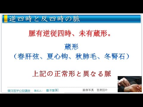 東洋医学公益講座　第260回黄帝内経‗平人気象論5