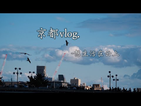 京都VLOG｜独自旅行最幸福的时刻🫧｜漫长的徒步后看到最美的风景｜阴天也有阴天的快乐｜i人的京都行完美收官