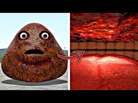 SECRET 😱 HOW MUCH CAN POU FIT IN ITS MOUTH? In Garrys Mod!