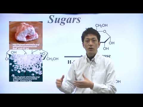 Unit 11 Part 1   Sugars and Fats