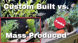 ARE CUSTOM BUILT FISH TANKS WORTH THE HIGH PRICE? - Watch This!