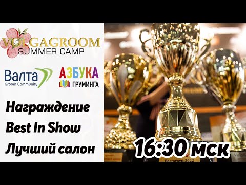 Награждение финалистов!!! Выбор BEST IN SHOW, Лучший салон