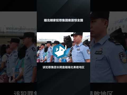 缅北明家犯罪集团案震惊全国