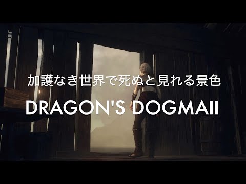 加護なき世界で死ぬと見れる景色【DRAGON'S DOGMA2 PS5】