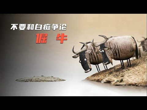 两头牛为河里是什么所争论，结果付出了惨重的代价。