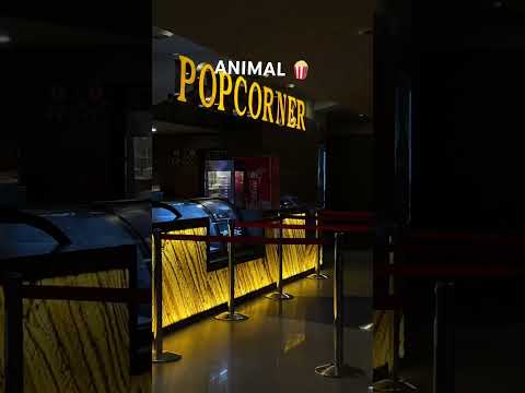 ANIMAL 🍿||#vlog # minivlog #movie #pvr #ouplent #shorts