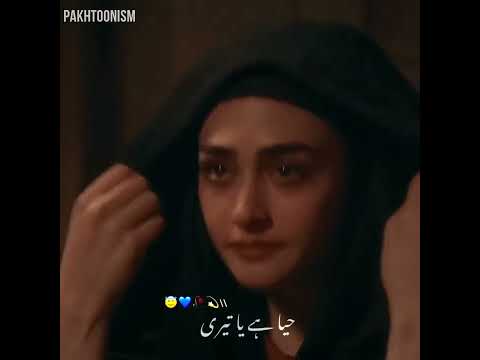 Haloma Sulta X Hijib E Hayia Whatsapp status | Hijaib e hayia