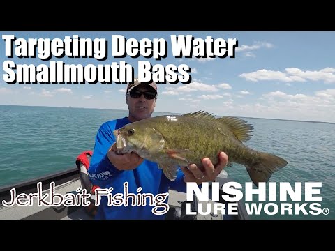 Something That Smallmouth Bass Never Seen Before /NISHINE LURE WORKS/JERKBAIT