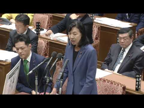 金子恵美　衆議院・予算委員会　20231121