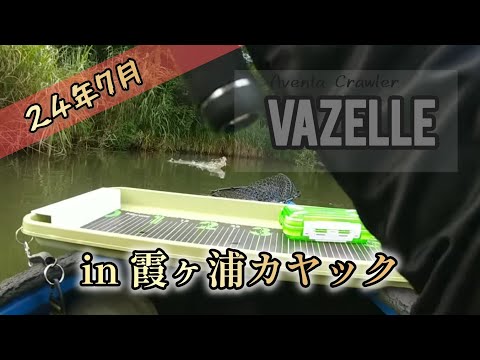 【アベンタクローラー バゼル】【霞ヶ浦】【カヤック】2024年7月27日 バゼルで雷魚のみでした！ #雷魚 #バス釣り #トップウォーター #イマカツ #バゼル #霞ヶ浦 #カヤック