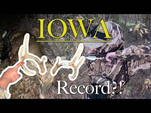 IOWA PUBLIC LAND STUD BUCK DOWN!! Bowhunting the PRE-RUT