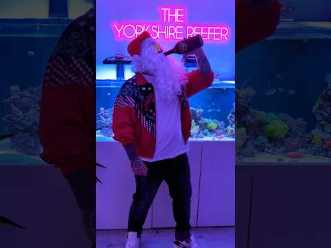 How Santa Cleans His Saltwater Aquarium! #saltwateraquarium #reefaquarium #reeftank #aquarium #sea