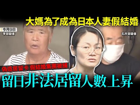 偽造居留卡 假結婚集團被捕！非法居留日本人數遞增 ◯●人佔大多數！