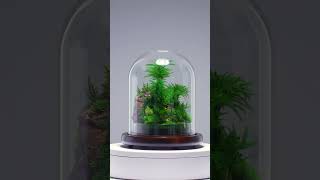 Tree Moss Terrarium by TerraLiving