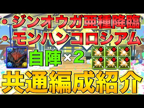 【共通編成】ジンオウガ亜種降臨＆モンハンコロシアム共通編成！ネロミェール自陣2枚で超高速周回！ネロミェールが強すぎます…【パズドラ】